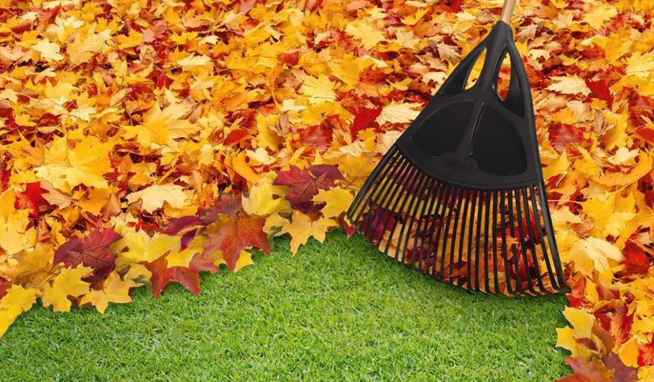 Curbside service for Yard Debris & Yard Waste Collection Services